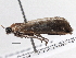  ( - BIOUG10399-H11)  @12 [ ] CreativeCommons - Attribution (2014) CBG Photography Group Centre for Biodiversity Genomics