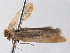  ( - BIOUG10400-C08)  @13 [ ] CreativeCommons - Attribution (2014) CBG Photography Group Centre for Biodiversity Genomics