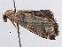  ( - BIOUG10400-C11)  @13 [ ] CreativeCommons - Attribution (2014) CBG Photography Group Centre for Biodiversity Genomics