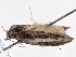  ( - BIOUG10400-E03)  @12 [ ] CreativeCommons - Attribution (2014) CBG Photography Group Centre for Biodiversity Genomics