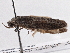  ( - BIOUG10400-E12)  @12 [ ] CreativeCommons - Attribution (2014) CBG Photography Group Centre for Biodiversity Genomics