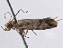  ( - BIOUG10400-G02)  @12 [ ] CreativeCommons - Attribution (2014) CBG Photography Group Centre for Biodiversity Genomics