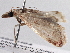  ( - BIOUG10400-H04)  @13 [ ] CreativeCommons - Attribution (2014) CBG Photography Group Centre for Biodiversity Genomics