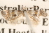  ( - BIOUG16870-C07)  @12 [ ] CreativeCommons - Attribution (2014) CBG Photography Group Centre for Biodiversity Genomics