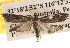  ( - BIOUG16870-F04)  @14 [ ] CreativeCommons - Attribution (2014) CBG Photography Group Centre for Biodiversity Genomics