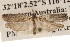  ( - BIOUG16870-G06)  @12 [ ] CreativeCommons - Attribution (2014) CBG Photography Group Centre for Biodiversity Genomics