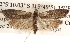  ( - BIOUG16871-B11)  @13 [ ] CreativeCommons - Attribution (2014) CBG Photography Group Centre for Biodiversity Genomics