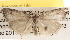  ( - BIOUG16871-C05)  @13 [ ] CreativeCommons - Attribution (2014) CBG Photography Group Centre for Biodiversity Genomics