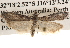  ( - BIOUG16871-C12)  @13 [ ] CreativeCommons - Attribution (2014) CBG Photography Group Centre for Biodiversity Genomics