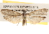  ( - BIOUG16871-D12)  @13 [ ] CreativeCommons - Attribution (2014) CBG Photography Group Centre for Biodiversity Genomics