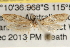  ( - BIOUG16872-A10)  @12 [ ] CreativeCommons - Attribution (2014) CBG Photography Group Centre for Biodiversity Genomics