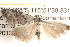  ( - BIOUG16872-B09)  @12 [ ] CreativeCommons - Attribution (2014) CBG Photography Group Centre for Biodiversity Genomics