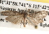  ( - BIOUG16872-B11)  @12 [ ] CreativeCommons - Attribution (2014) CBG Photography Group Centre for Biodiversity Genomics