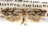  ( - BIOUG16873-C01)  @12 [ ] CreativeCommons - Attribution (2014) CBG Photography Group Centre for Biodiversity Genomics
