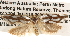  ( - BIOUG16873-C02)  @12 [ ] CreativeCommons - Attribution (2014) CBG Photography Group Centre for Biodiversity Genomics