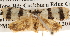  ( - BIOUG16873-E10)  @13 [ ] CreativeCommons - Attribution (2014) CBG Photography Group Centre for Biodiversity Genomics