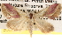  ( - BIOUG16873-G04)  @13 [ ] CreativeCommons - Attribution (2014) CBG Photography Group Centre for Biodiversity Genomics