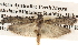  ( - BIOUG16873-G11)  @14 [ ] CreativeCommons - Attribution (2014) CBG Photography Group Centre for Biodiversity Genomics