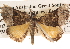  ( - BIOUG16873-H01)  @13 [ ] CreativeCommons - Attribution (2014) CBG Photography Group Centre for Biodiversity Genomics