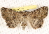  ( - BIOUG17341-A05)  @13 [ ] CreativeCommons - Attribution (2014) CBG Photography Group Centre for Biodiversity Genomics