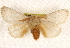  ( - BIOUG17341-C12)  @14 [ ] CreativeCommons - Attribution (2014) CBG Photography Group Centre for Biodiversity Genomics