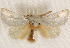  ( - BIOUG17341-D02)  @13 [ ] CreativeCommons - Attribution (2014) CBG Photography Group Centre for Biodiversity Genomics
