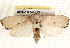  ( - BIOUG17341-E04)  @14 [ ] CreativeCommons - Attribution (2014) CBG Photography Group Centre for Biodiversity Genomics