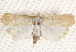  ( - BIOUG17341-G01)  @13 [ ] CreativeCommons - Attribution (2014) CBG Photography Group Centre for Biodiversity Genomics