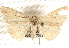  ( - BIOUG17341-G05)  @13 [ ] CreativeCommons - Attribution (2014) CBG Photography Group Centre for Biodiversity Genomics