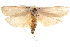  ( - BIOUG17342-B03)  @12 [ ] CreativeCommons - Attribution (2014) CBG Photography Group Centre for Biodiversity Genomics