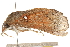  ( - BIOUG17342-B05)  @13 [ ] CreativeCommons - Attribution (2014) CBG Photography Group Centre for Biodiversity Genomics