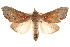 ( - BIOUG17342-C02)  @14 [ ] CreativeCommons - Attribution (2014) CBG Photography Group Centre for Biodiversity Genomics