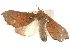  ( - BIOUG17342-C04)  @13 [ ] CreativeCommons - Attribution (2014) CBG Photography Group Centre for Biodiversity Genomics