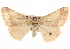  ( - BIOUG17342-F04)  @13 [ ] CreativeCommons - Attribution (2014) CBG Photography Group Centre for Biodiversity Genomics