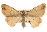  ( - BIOUG17342-H04)  @13 [ ] CreativeCommons - Attribution (2014) CBG Photography Group Centre for Biodiversity Genomics