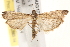  ( - BIOUG17344-G04)  @14 [ ] CreativeCommons - Attribution (2014) CBG Photography Group Centre for Biodiversity Genomics