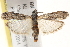  ( - BIOUG17344-H04)  @13 [ ] CreativeCommons - Attribution (2014) CBG Photography Group Centre for Biodiversity Genomics