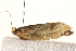  ( - BIOUG17457-B11)  @13 [ ] CreativeCommons - Attribution (2014) CBG Photography Group Centre for Biodiversity Genomics
