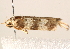  ( - BIOUG17457-C01)  @12 [ ] CreativeCommons - Attribution (2014) CBG Photography Group Centre for Biodiversity Genomics