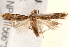  ( - BIOUG17457-H11)  @13 [ ] CreativeCommons - Attribution (2014) CBG Photography Group Centre for Biodiversity Genomics