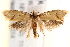  ( - BIOUG17458-D04)  @14 [ ] CreativeCommons - Attribution (2014) CBG Photography Group Centre for Biodiversity Genomics