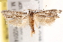  ( - BIOUG17458-G10)  @14 [ ] CreativeCommons - Attribution (2014) CBG Photography Group Centre for Biodiversity Genomics