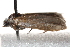  ( - BIOUG17460-G01)  @14 [ ] CreativeCommons - Attribution (2014) CBG Photography Group Centre for Biodiversity Genomics