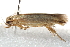 ( - BIOUG17460-G05)  @12 [ ] CreativeCommons - Attribution (2014) CBG Photography Group Centre for Biodiversity Genomics
