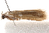  ( - BIOUG17526-B08)  @12 [ ] CreativeCommons - Attribution (2014) CBG Photography Group Centre for Biodiversity Genomics