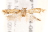  ( - BIOUG17526-G02)  @12 [ ] CreativeCommons - Attribution (2014) CBG Photography Group Centre for Biodiversity Genomics