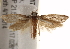  ( - BIOUG17527-B08)  @13 [ ] CreativeCommons - Attribution (2014) CBG Photography Group Centre for Biodiversity Genomics
