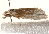  ( - BIOUG17527-F11)  @14 [ ] CreativeCommons - Attribution (2014) CBG Photography Group Centre for Biodiversity Genomics