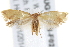  ( - BIOUG17528-F02)  @12 [ ] CreativeCommons - Attribution (2014) CBG Photography Group Centre for Biodiversity Genomics