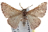  ( - BIOUG17529-C12)  @14 [ ] CreativeCommons - Attribution (2014) CBG Photography Group Centre for Biodiversity Genomics